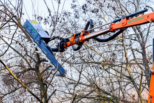 Équipement conçu pour la taille des haies, des arbustes et des branches de différentes tailles