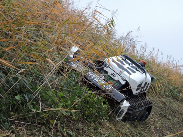 Herbhy30_1511_r-25
